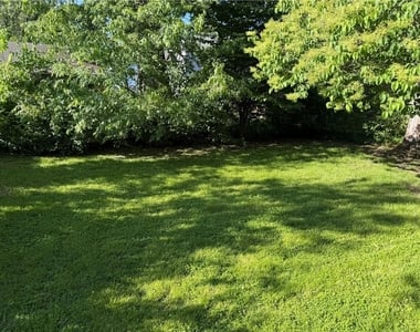 151 Cayuta Street - Photo Thumbnail 14