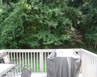19 Clavendon Court - Photo Thumbnail 20