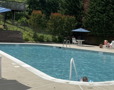 19 Clavendon Court - Photo Thumbnail 17