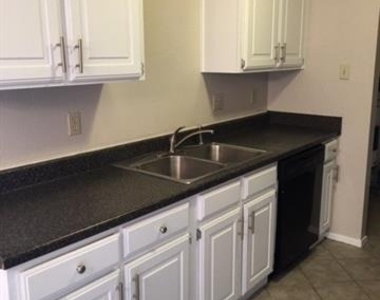 1413 Eagle Pass Drive - Photo Thumbnail 6