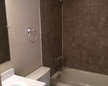 1413 Eagle Pass Drive - Photo Thumbnail 3