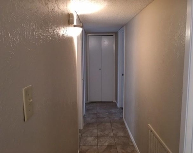 1413 Eagle Pass Drive - Photo Thumbnail 4