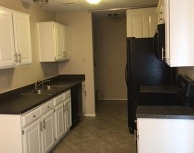 1413 Eagle Pass Drive - Photo Thumbnail 5