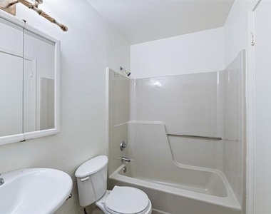 447 Vincent Street - Photo Thumbnail 17