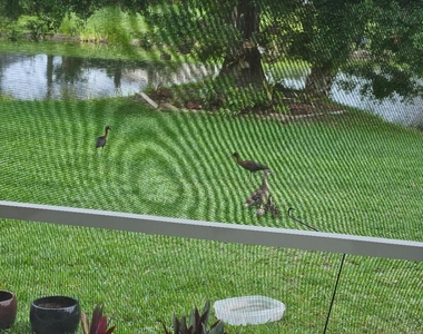 552 Sw Calamondin Way Way Sw - Photo Thumbnail 13