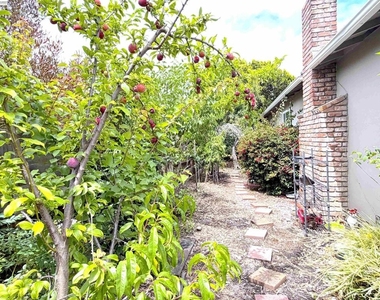 41348 Whitecrest Ct - Photo Thumbnail 30
