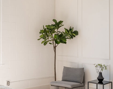710 N Orlando Avenue - Photo Thumbnail 5