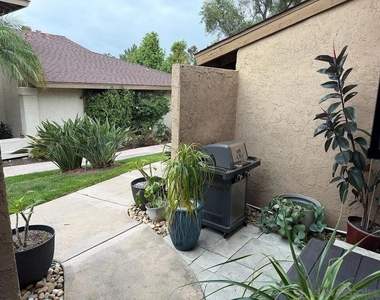 8009 Calle Fanita - Photo Thumbnail 4