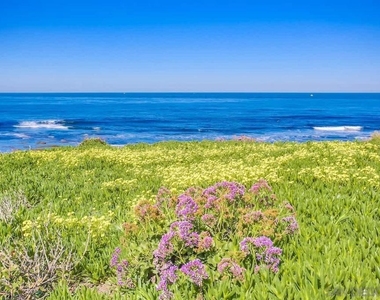 245 Coast - Photo Thumbnail 30