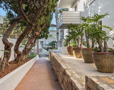 245 Coast - Photo Thumbnail 25
