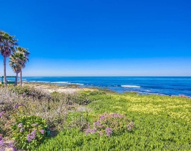 245 Coast - Photo Thumbnail 31