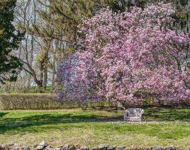 100 Maple Lane - Photo Thumbnail 10