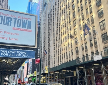 356 W 48th Street - Photo Thumbnail 20