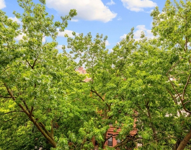 441 Convent Avenue - Photo Thumbnail 6