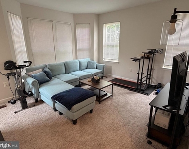 21174 Domain Terrace - Photo Thumbnail 12