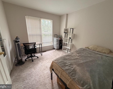 21174 Domain Terrace - Photo Thumbnail 16