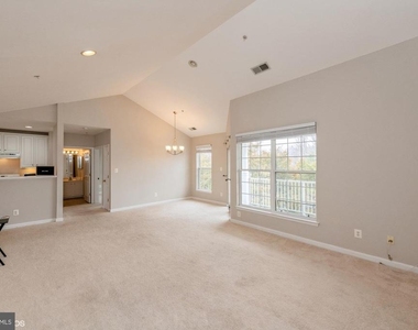 25340 Lake Mist Square - Photo Thumbnail 8