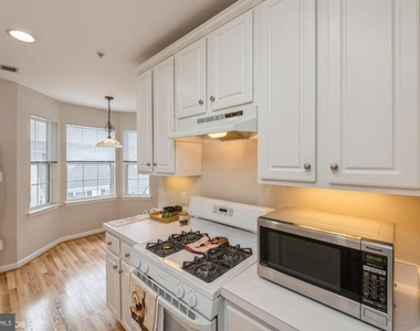 25340 Lake Mist Square - Photo Thumbnail 10