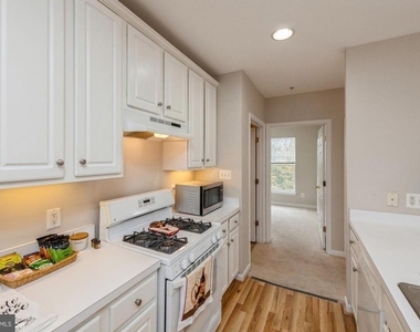 25340 Lake Mist Square - Photo Thumbnail 11