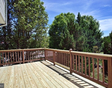 13501 Stargazer Terrace - Photo Thumbnail 11