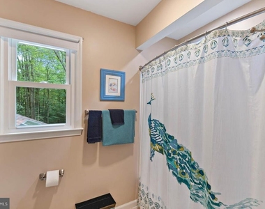 3125 Hannahs Pond Lane - Photo Thumbnail 29