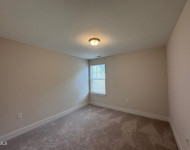 917 Hillman Lane - Photo Thumbnail 19