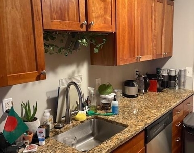 2501 Christian Street - Photo Thumbnail 2