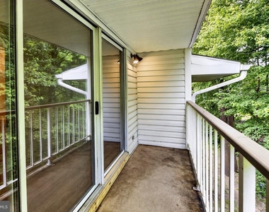 19 Hemlock Court - Photo Thumbnail 20