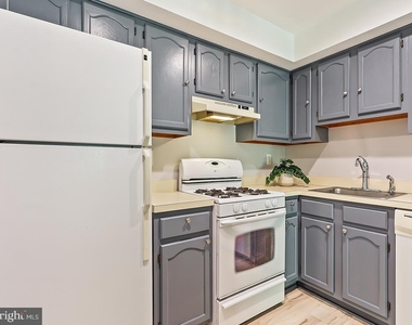303 Trinity Court - Photo Thumbnail 12