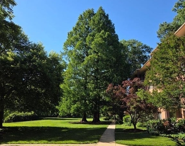 10424 Rockville Pike - Photo Thumbnail 32