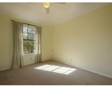 1113 Paint Brush Trl - Photo Thumbnail 17