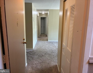 6 Fox Hall - Photo Thumbnail 3