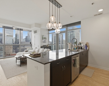 303 W Ohio Street - Photo Thumbnail 3