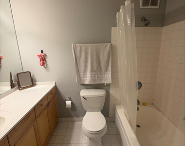 474 N Lake Shore Drive - Photo Thumbnail 7