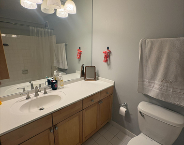 474 N Lake Shore Drive - Photo Thumbnail 8