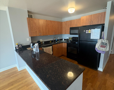 474 N Lake Shore Drive - Photo Thumbnail 2