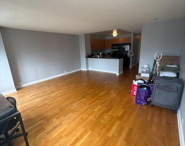474 N Lake Shore Drive - Photo Thumbnail 6