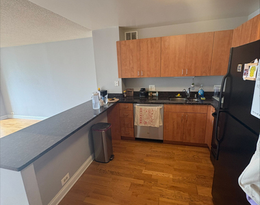 474 N Lake Shore Drive - Photo Thumbnail 3