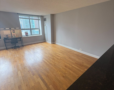 474 N Lake Shore Drive - Photo Thumbnail 4
