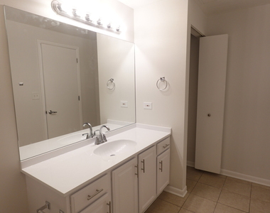 1550 S Blue Island Avenue - Photo Thumbnail 19