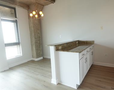 1550 S Blue Island Avenue - Photo Thumbnail 12