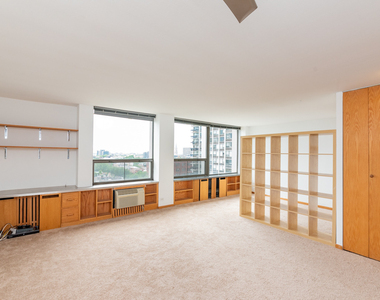 1455 N Sandburg Terrace - Photo Thumbnail 1