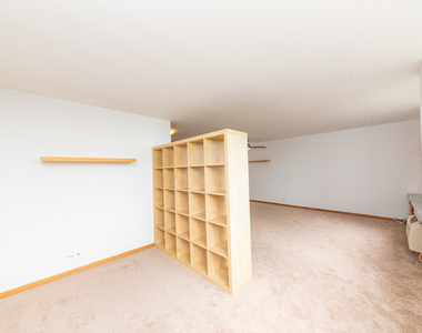 1455 N Sandburg Terrace - Photo Thumbnail 4