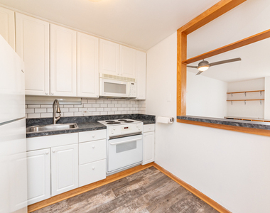 1455 N Sandburg Terrace - Photo Thumbnail 6
