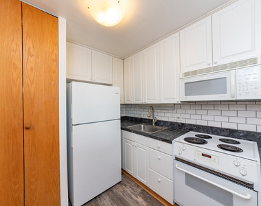 1455 N Sandburg Terrace - Photo Thumbnail 7
