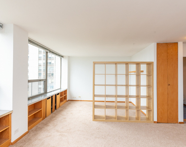 1455 N Sandburg Terrace - Photo Thumbnail 2