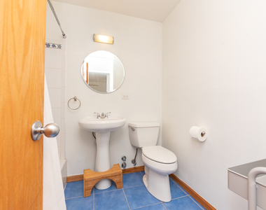 1455 N Sandburg Terrace - Photo Thumbnail 11