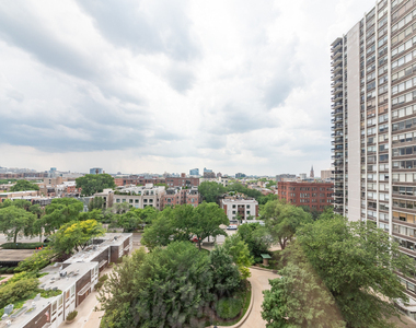 1455 N Sandburg Terrace - Photo Thumbnail 5