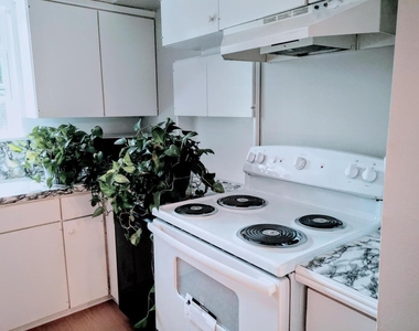 5527 Darnell Street - Photo Thumbnail 16
