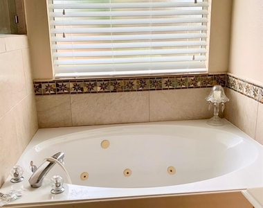 205 Mammoth Springs Lane - Photo Thumbnail 7